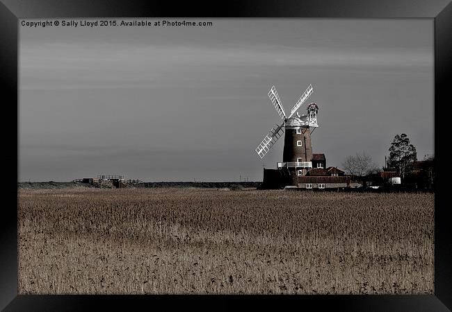  Cley Windmill north Norfolk  Framed Print by Sally Lloyd