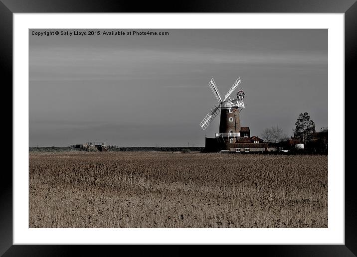  Cley Windmill north Norfolk  Framed Mounted Print by Sally Lloyd