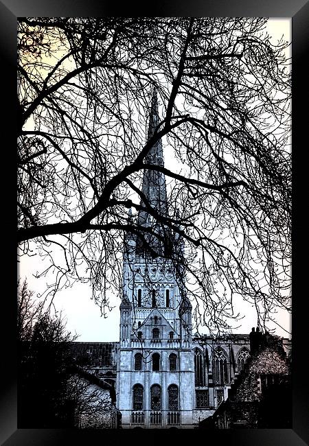  Norwich Cathedral Norfolk UK Framed Print by Sally Lloyd