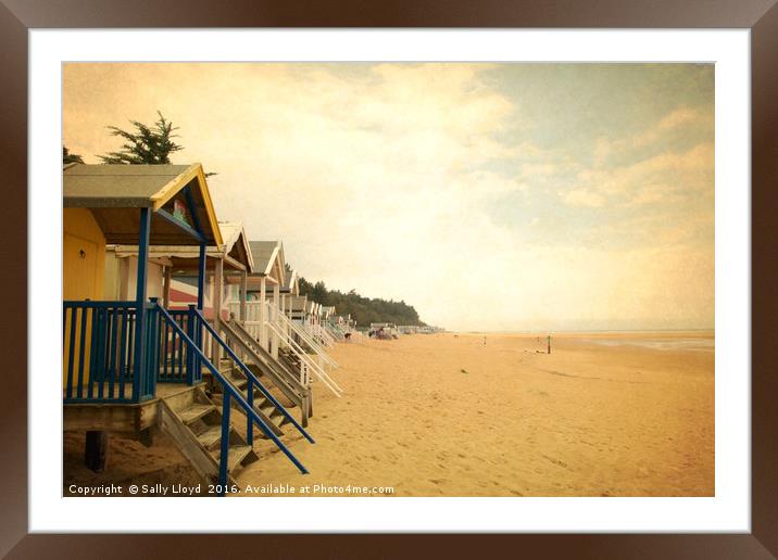 Beach huts vintage style. Framed Mounted Print by Sally Lloyd