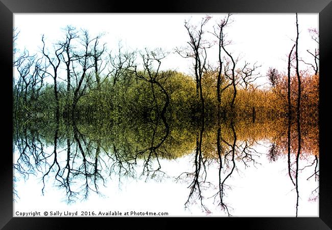 Colour Tree Symmetry Framed Print by Sally Lloyd