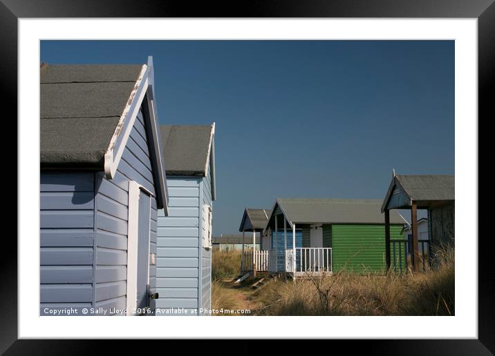 Beach Huts meet Framed Mounted Print by Sally Lloyd