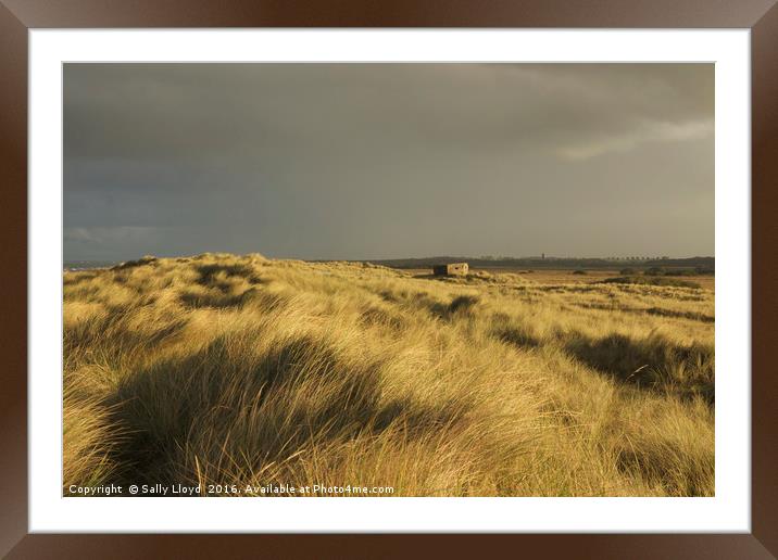 Inland from the dunes Horsey Framed Mounted Print by Sally Lloyd