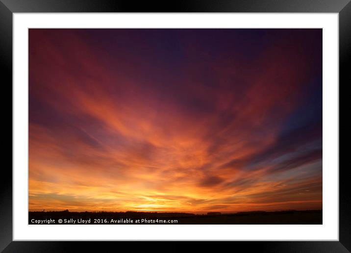 Hot Norfolk Sunset Framed Mounted Print by Sally Lloyd
