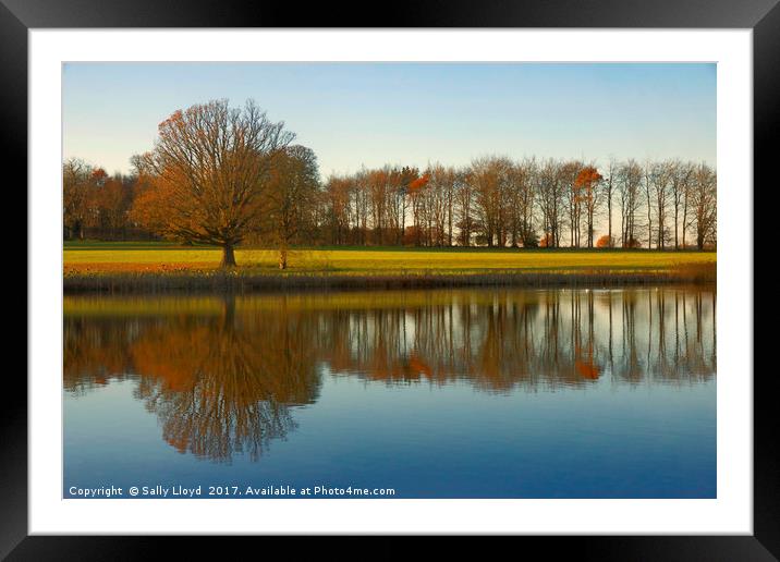 Reflections at Blickling in Norfolk  Framed Mounted Print by Sally Lloyd
