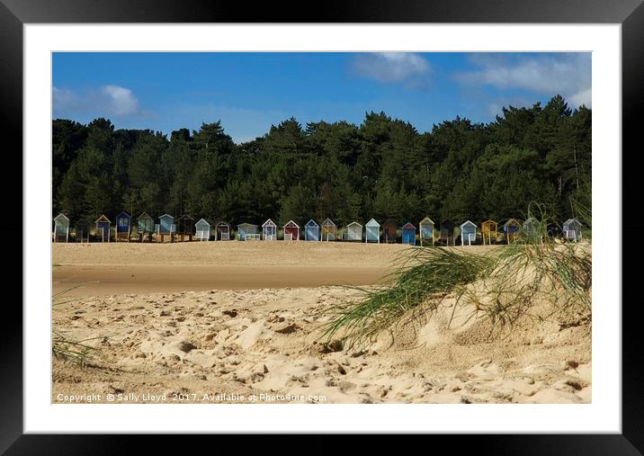 Beach Huts at Wells next the Sea, Norfolk  Framed Mounted Print by Sally Lloyd