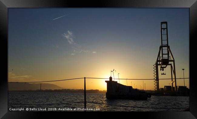 Malaga Port at sunset Framed Print by Sally Lloyd