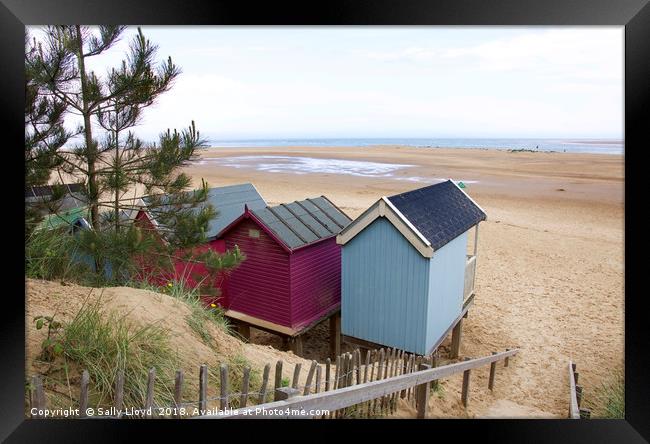 Pink and Blue Beach huts at Wells-next-the-Sea Framed Print by Sally Lloyd