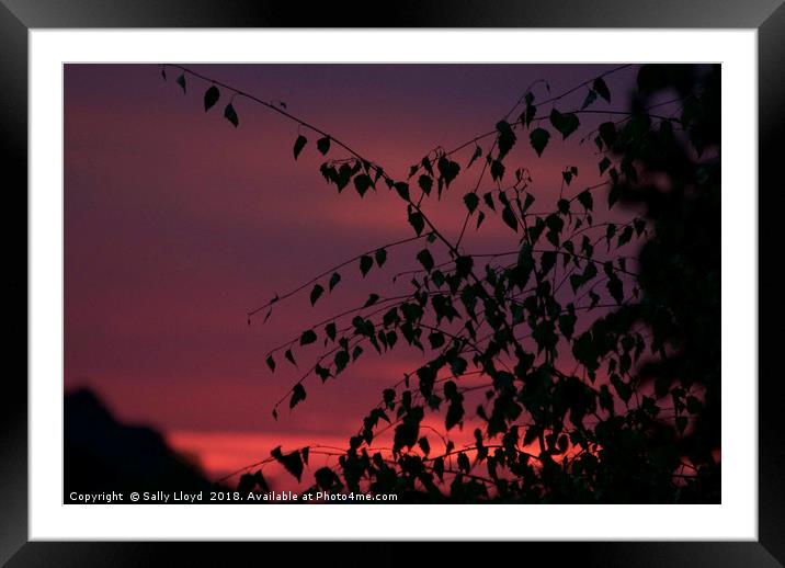 August Sunset Framed Mounted Print by Sally Lloyd