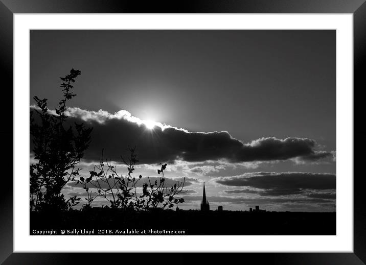 Norwich Cathedral Mono Sunset Framed Mounted Print by Sally Lloyd