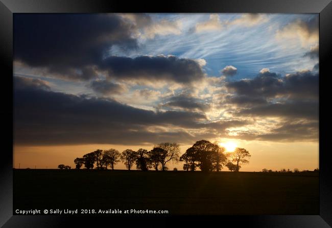 Wintry Norfolk Sunset Framed Print by Sally Lloyd
