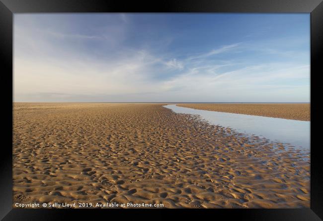 Into the distance at Holkham Norfolk  Framed Print by Sally Lloyd