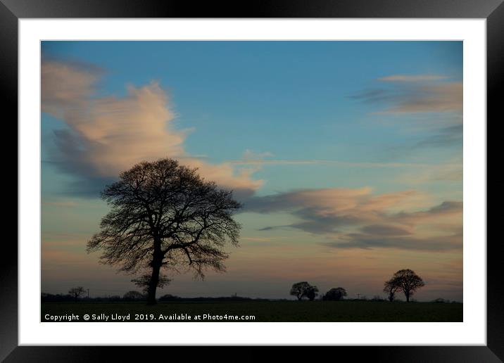 Standing against a sunset sky. Framed Mounted Print by Sally Lloyd