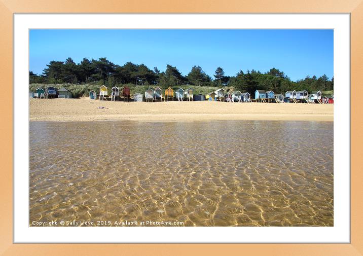 Beach huts from the water at Wells-Next-the-Sea  Framed Mounted Print by Sally Lloyd