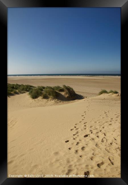 Holkham towards the sea. Framed Print by Sally Lloyd