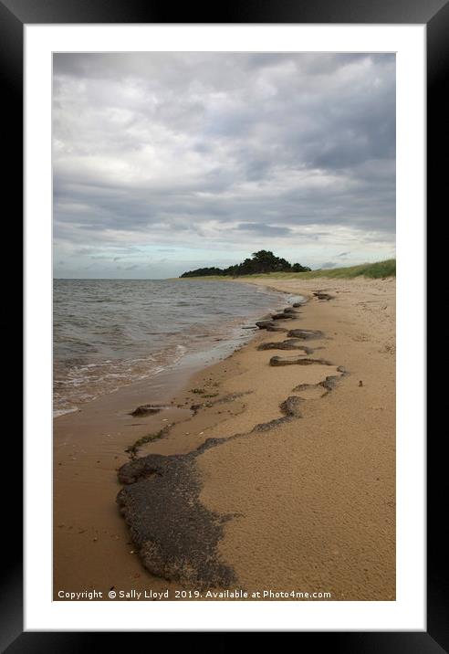 Patterns at East Hills, Wells next the Sea Framed Mounted Print by Sally Lloyd