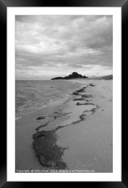 East hills tide patterns mono Framed Mounted Print by Sally Lloyd