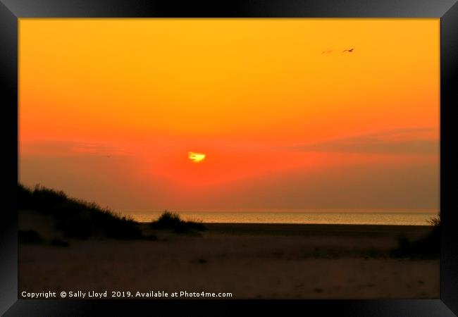 Red Sunset Flight Framed Print by Sally Lloyd