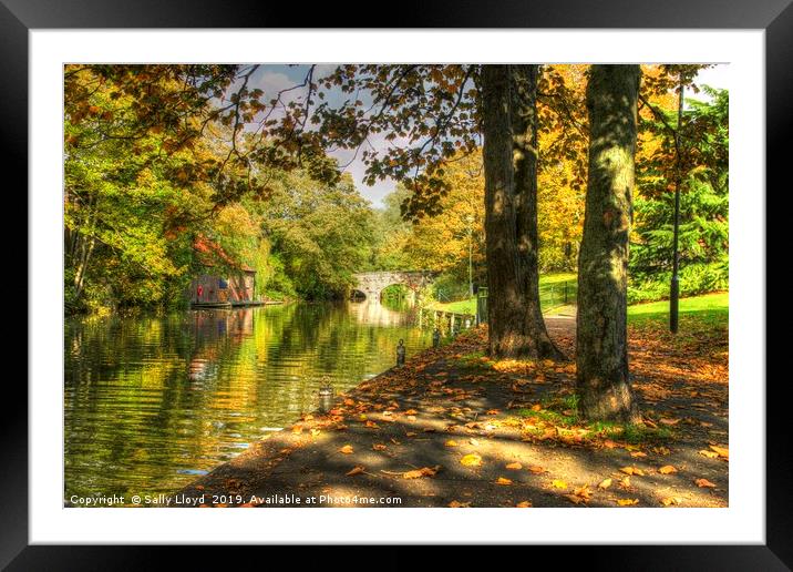 Autumnal River Wensum Norwich Framed Mounted Print by Sally Lloyd
