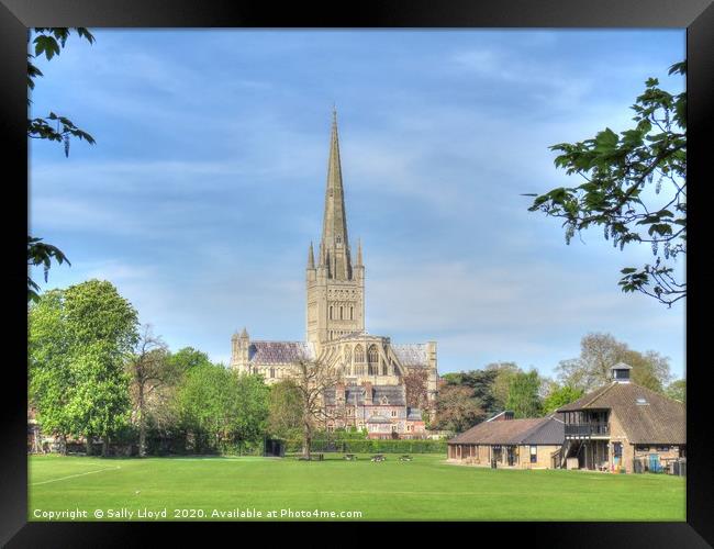 Norwich Cathedral April 2020 Framed Print by Sally Lloyd