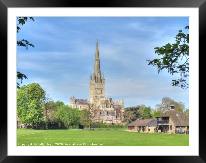 Norwich Cathedral April 2020 Framed Mounted Print by Sally Lloyd