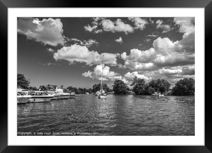 The River Bure, Horning  Framed Mounted Print by Sally Lloyd