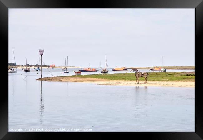 The Lifeboat Horse at Port of Wells Framed Print by Sally Lloyd