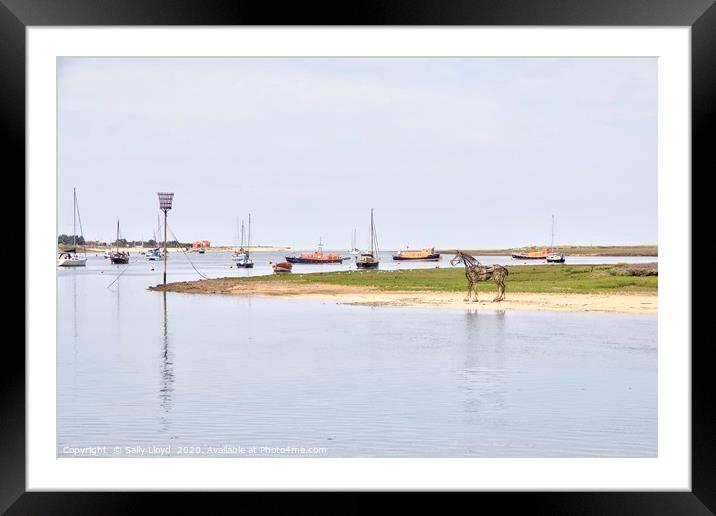 The Lifeboat Horse at Port of Wells Framed Mounted Print by Sally Lloyd