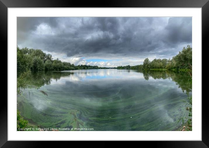 Whitlingham Country Park Panoramic  Framed Mounted Print by Sally Lloyd