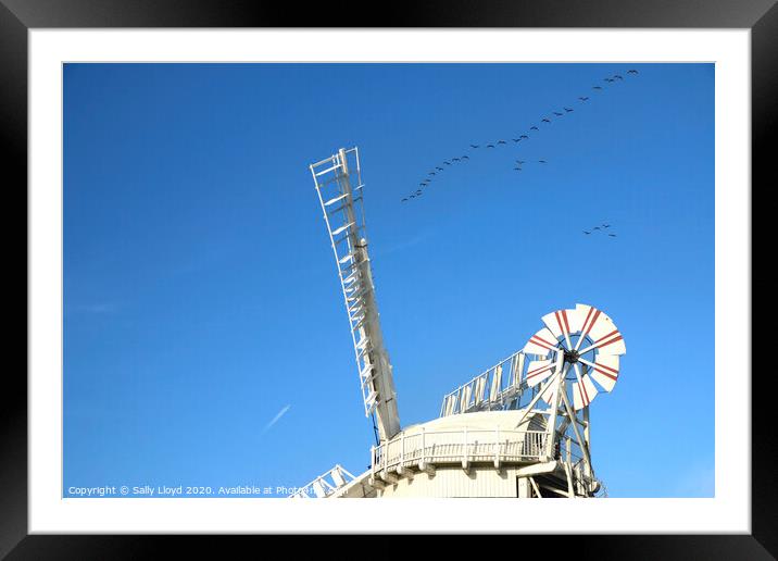 Building  Framed Mounted Print by Sally Lloyd