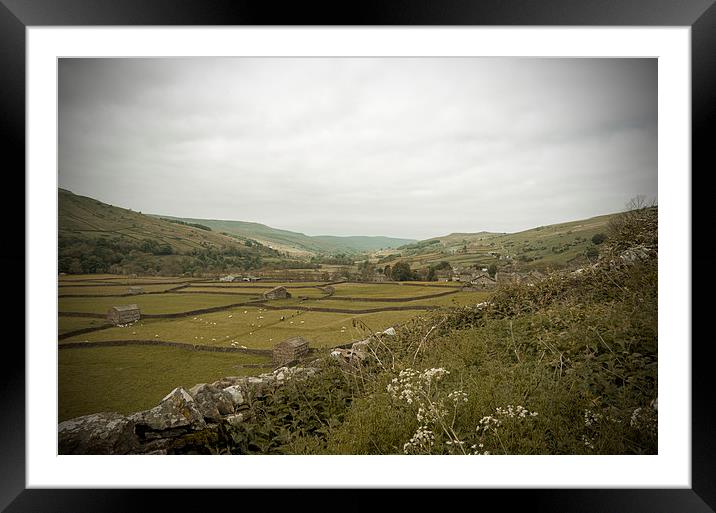 The Dales Framed Mounted Print by Annie Page