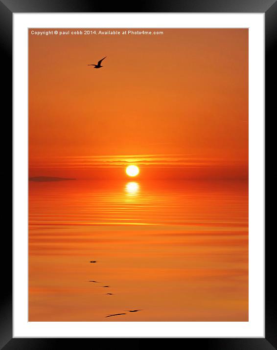  Orange dawn. Framed Mounted Print by paul cobb