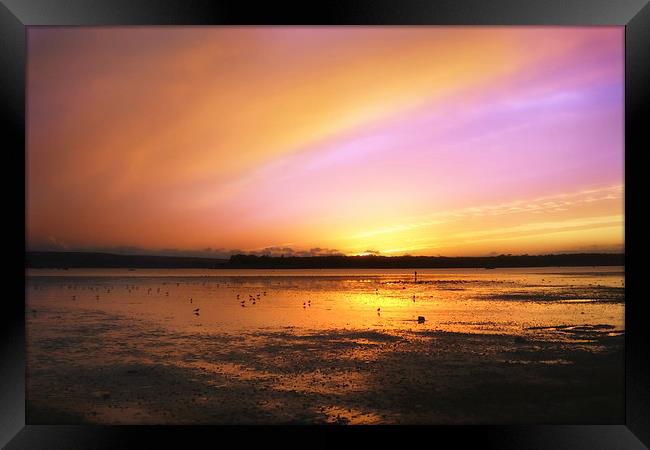  Brownsea view, Framed Print by paul cobb