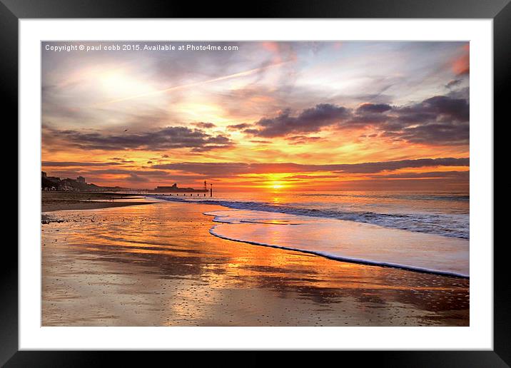  Golden moments Framed Mounted Print by paul cobb