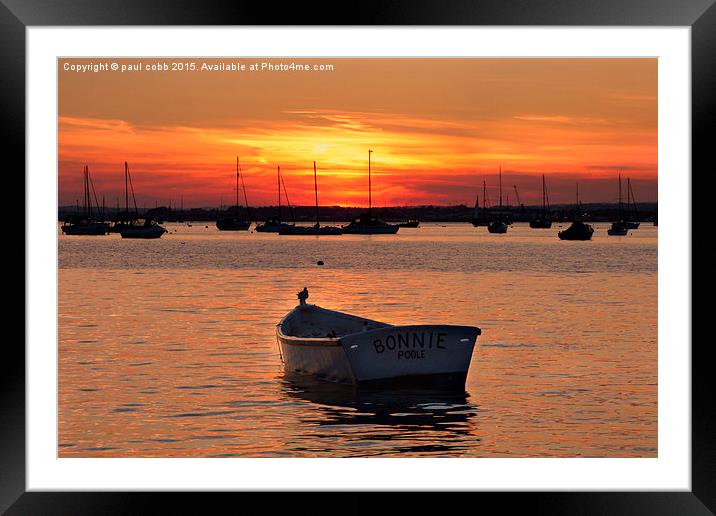  Bonnie of a sunset. Framed Mounted Print by paul cobb