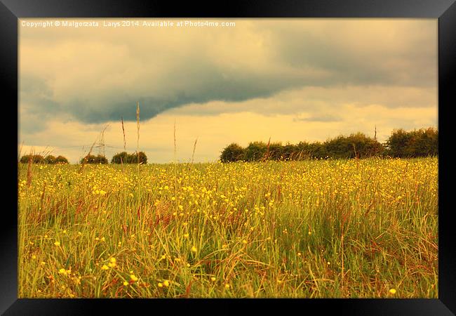 Scenic Scottish landscape with meadow of wildflowe Framed Print by Malgorzata Larys