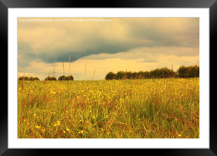Scenic Scottish landscape with meadow of wildflowe Framed Mounted Print by Malgorzata Larys