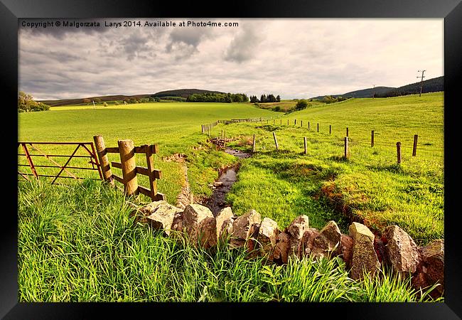 Spring rural landscape with stone wall,  Scotland Framed Print by Malgorzata Larys