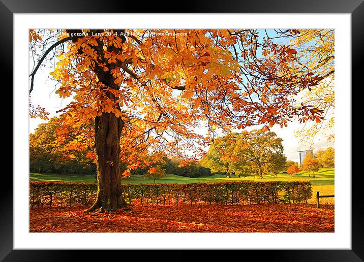 Beautiful, sunny Autumn in the park Framed Mounted Print by Malgorzata Larys