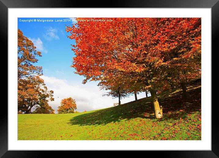 Wonderful autumnal scene in the park of Falkirk, S Framed Mounted Print by Malgorzata Larys