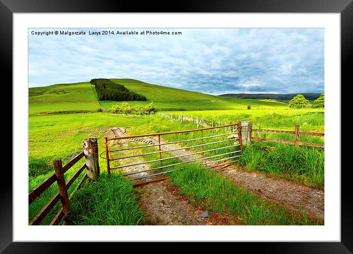 Spring rural landscape in Scotland  Framed Mounted Print by Malgorzata Larys