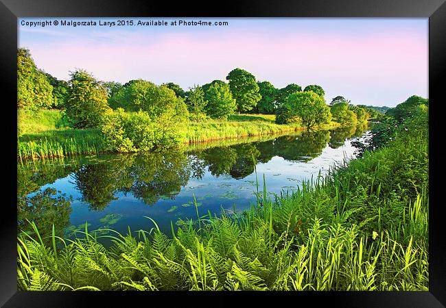 Forth and Clyde Canal, Scotland Framed Print by Malgorzata Larys