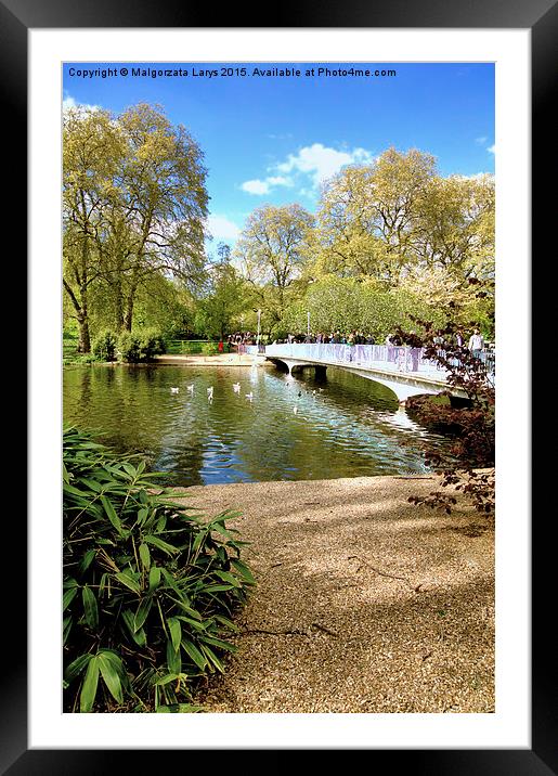  London park, Spring time  Framed Mounted Print by Malgorzata Larys