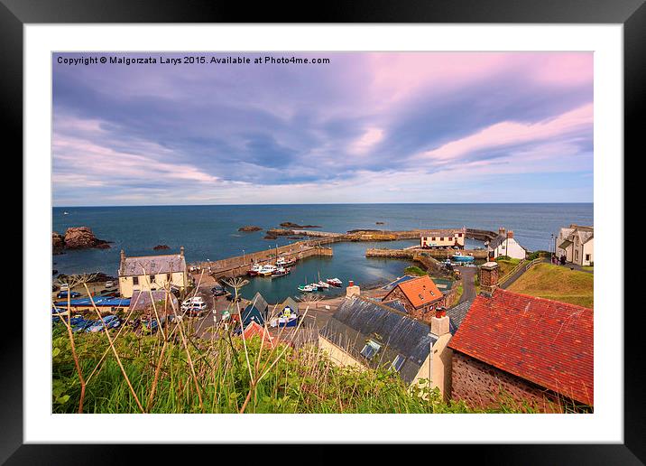 the harbour and village at St. Abbs in Berwickshir Framed Mounted Print by Malgorzata Larys