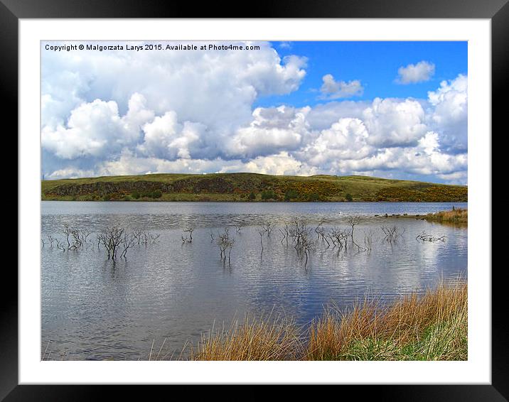 Sunny day, Lily Lake, North Lanarkshire, scotland  Framed Mounted Print by Malgorzata Larys