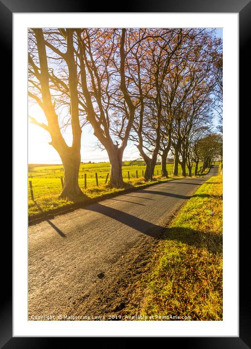 Beautiful rural road with trees and sunlight in Sp Framed Mounted Print by Malgorzata Larys