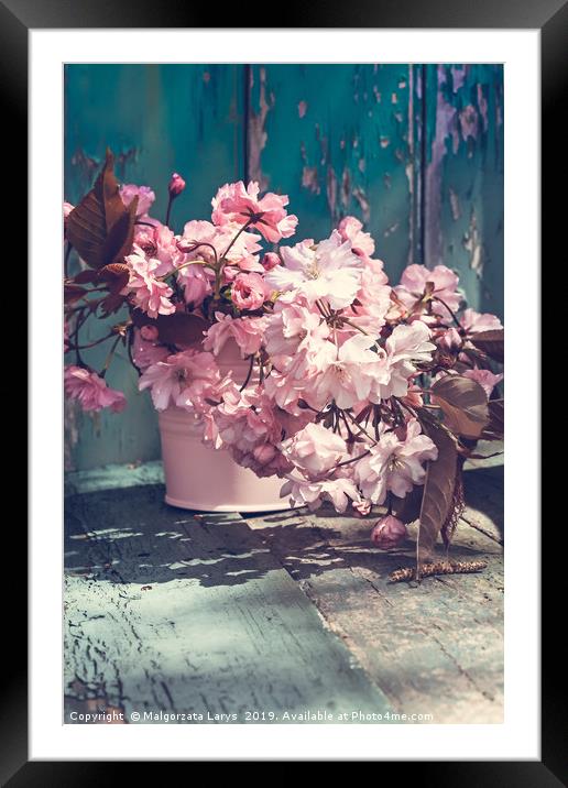 Beautiful japanese cherry flowers in the vase Framed Mounted Print by Malgorzata Larys