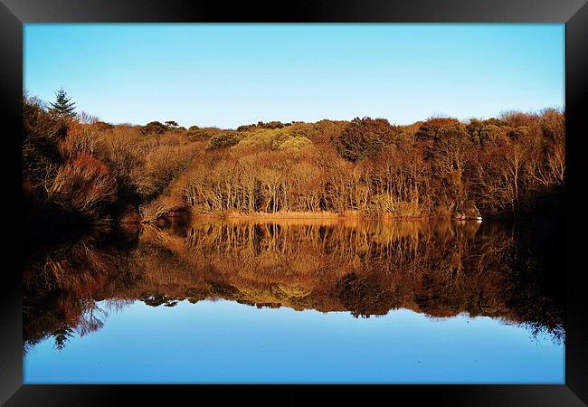  Bosherston Lily Ponds Framed Print by Mandy Llewellyn