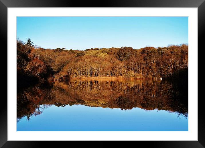  Bosherston Lily Ponds Framed Mounted Print by Mandy Llewellyn