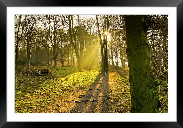 Misty Morning Framed Mounted Print by Ellie Rose